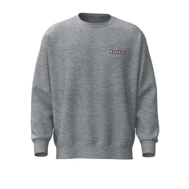 hebo-sudadera-gris-manga-larga-con-logo-estampado image 1