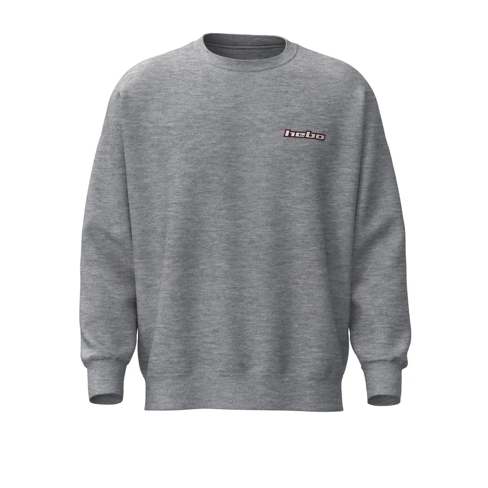 hebo-sudadera-gris-manga-larga-con-logo-estampado image 1
